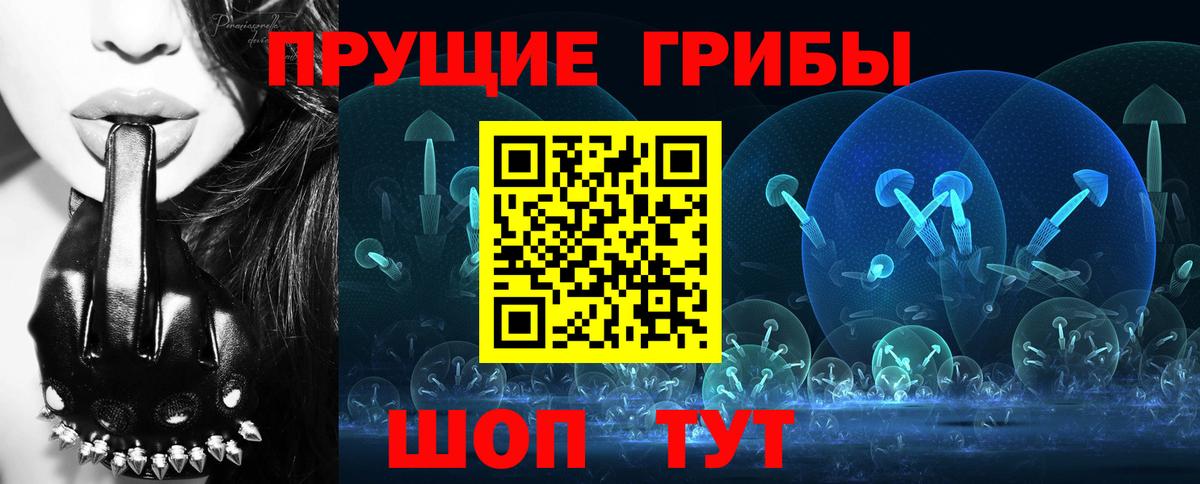 Псилоцибиновые грибы прущие грибы  Вход с VPN  Нижний Тагил 